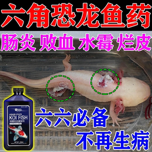 六角恐龙鱼药白点烂身烂尾水霉病败血症杀菌净化水质皮肤病专用药