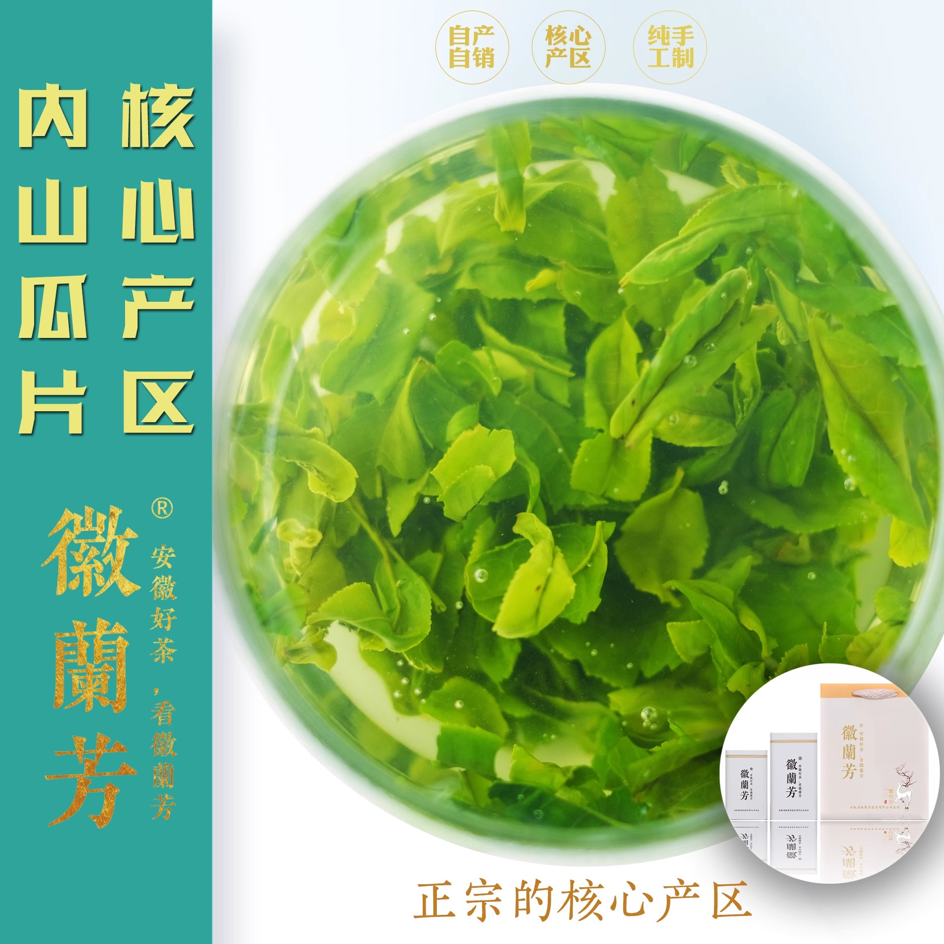 【蘭花香型T58夢蘭】徽蘭芳海拔800m蘭花香型六安瓜片齊頭山產(chǎn)區(qū)
