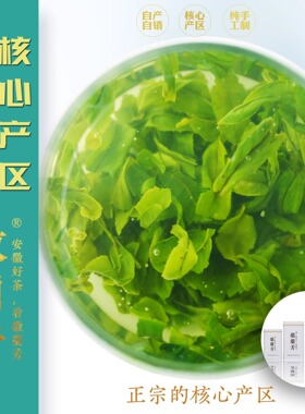 【兰花香型T58梦兰】徽兰芳海拔800m兰花香型六安瓜片齐头山产区