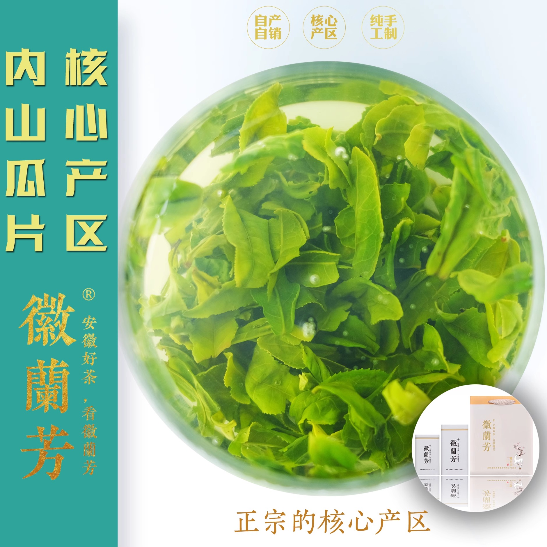 【蘭花香型T49】徽蘭芳海拔800m蘭花香型六安瓜片齊頭山產區(qū)