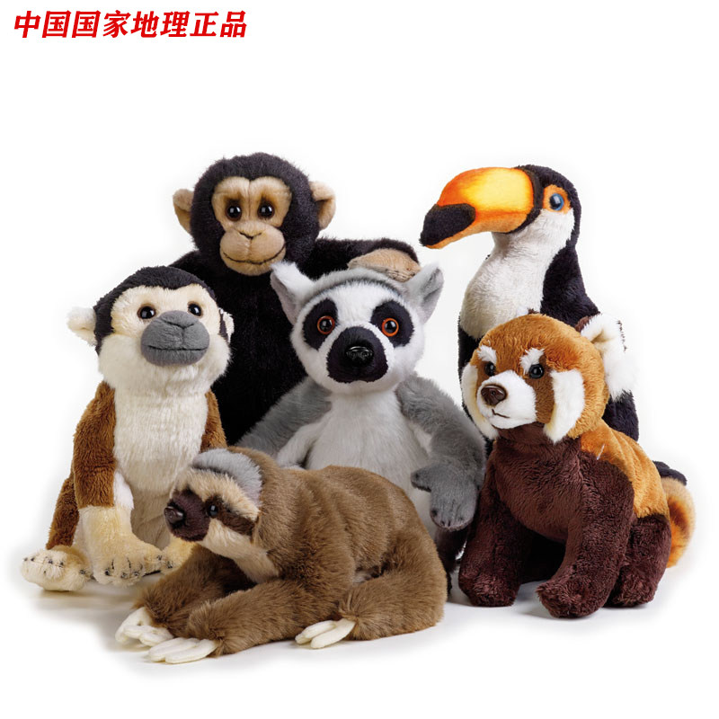 国家地理毛绒玩具雨林系列巨嘴鸟小熊猫生日礼物公仔树懒玩偶儿童