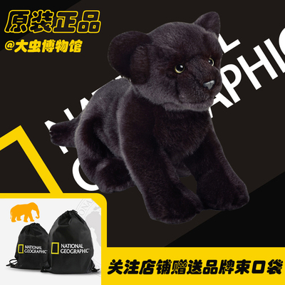 全新美国国家地理正品，如假包赔