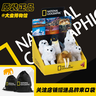 正品授权国家地理南极动物系列