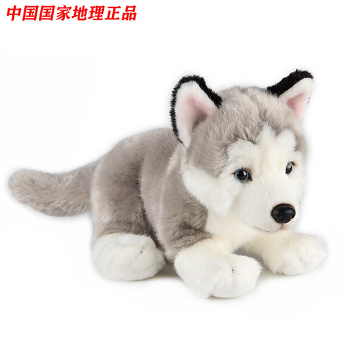 中国国家地理毛绒玩具萌宠猫狗