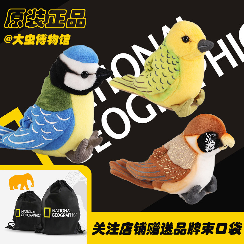 国家地理毛绒玩具雀鸟系列鹦鹉蓝山蜂虎礼物儿童女生可爱多彩公仔 - 实物图