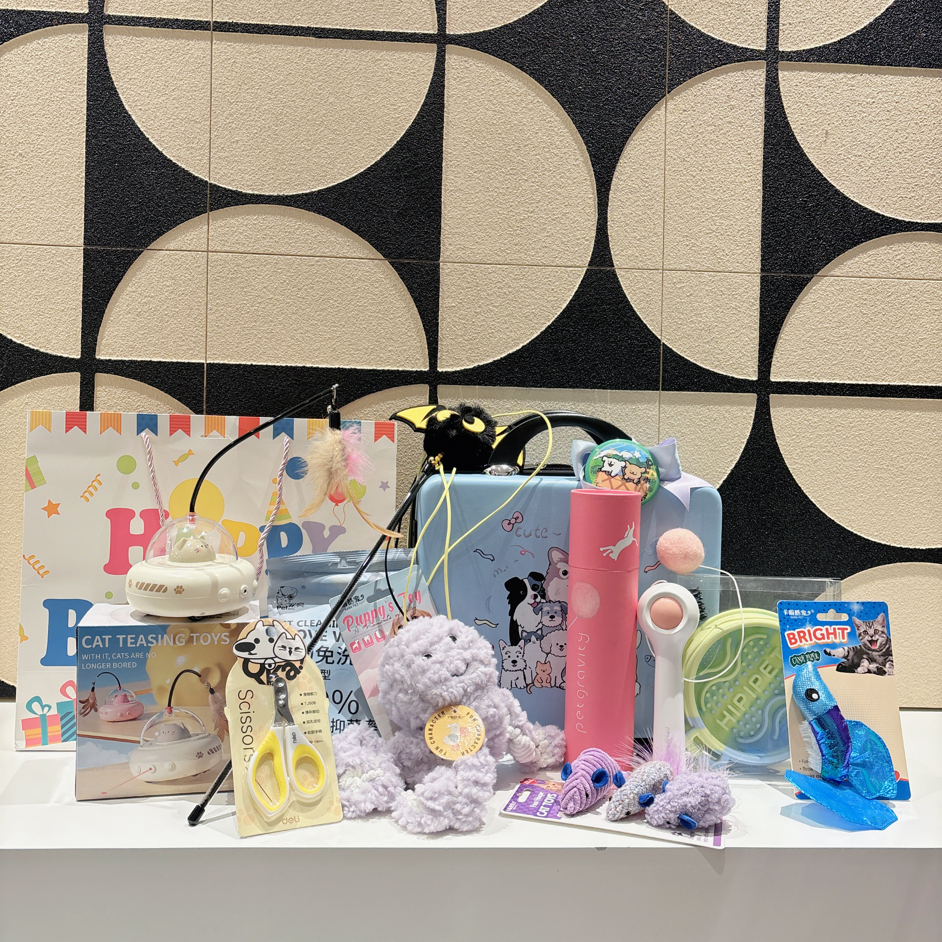 宠物生日伴手礼宠物猫咪周岁生日礼品宠物十岁生日礼品新年礼品