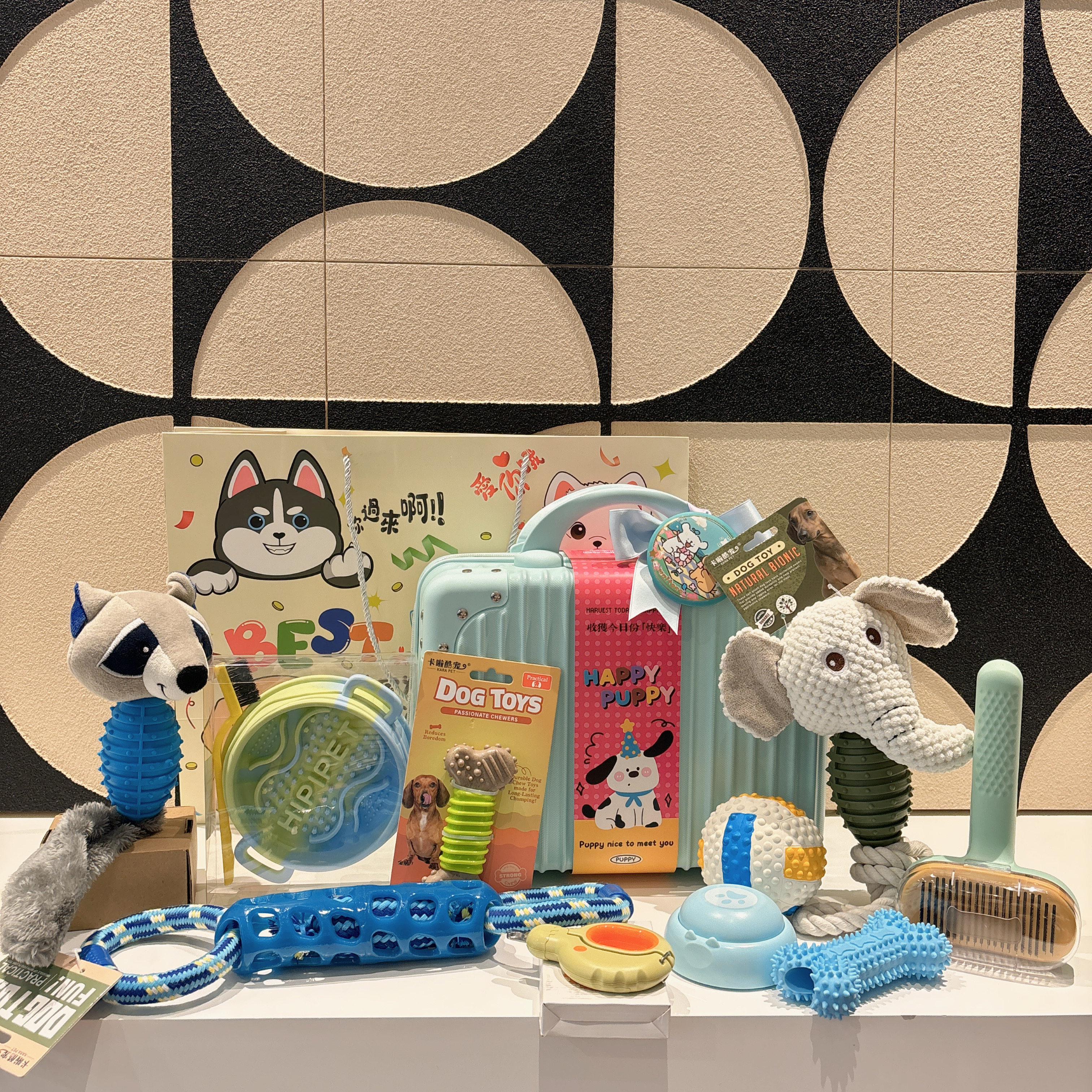 宠物生日伴手礼宠物周岁生日礼品宠物狗狗用品狗狗玩具狗狗
