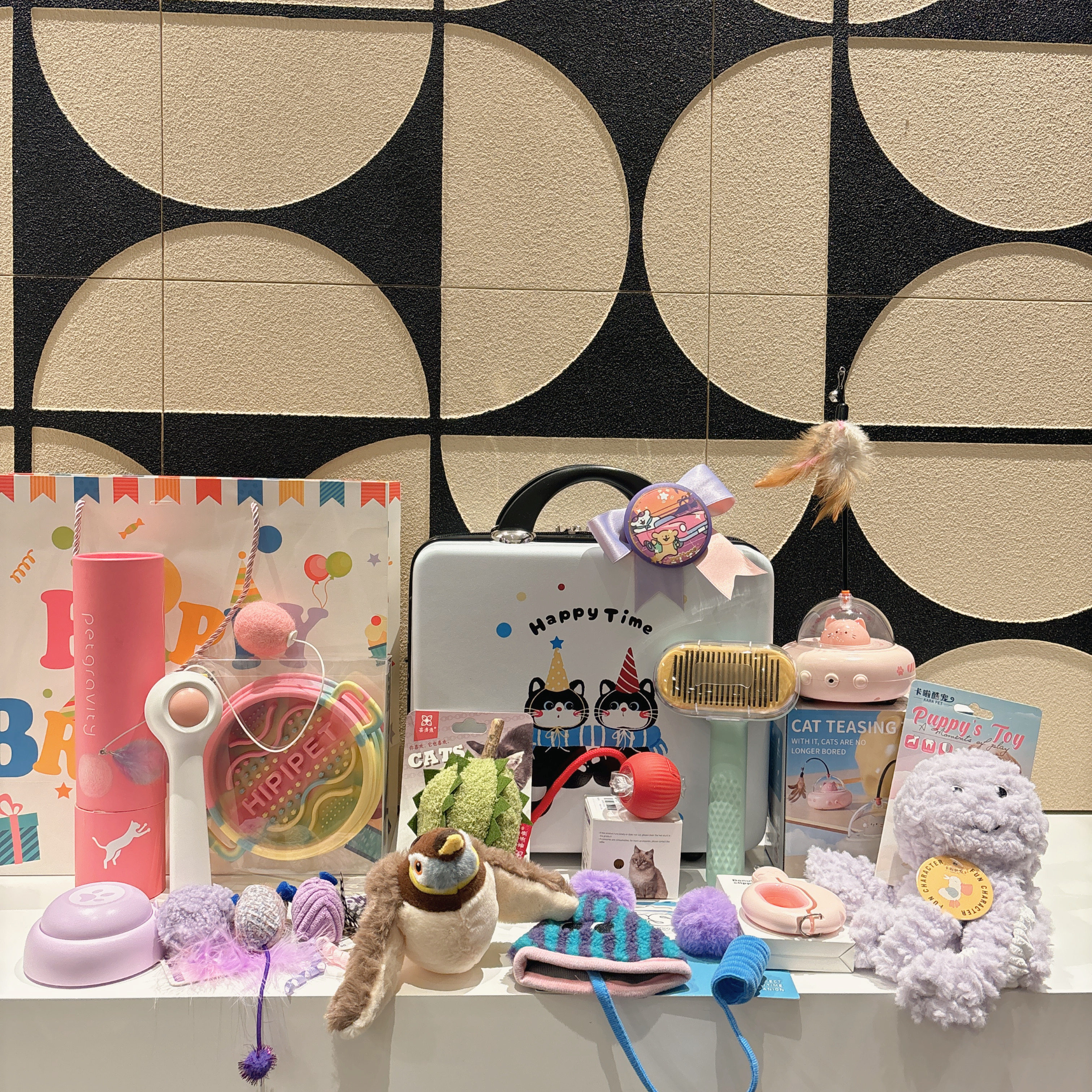 宠物主题生日伴手礼宠物生日宠物周岁礼品猫咪生日伴手礼