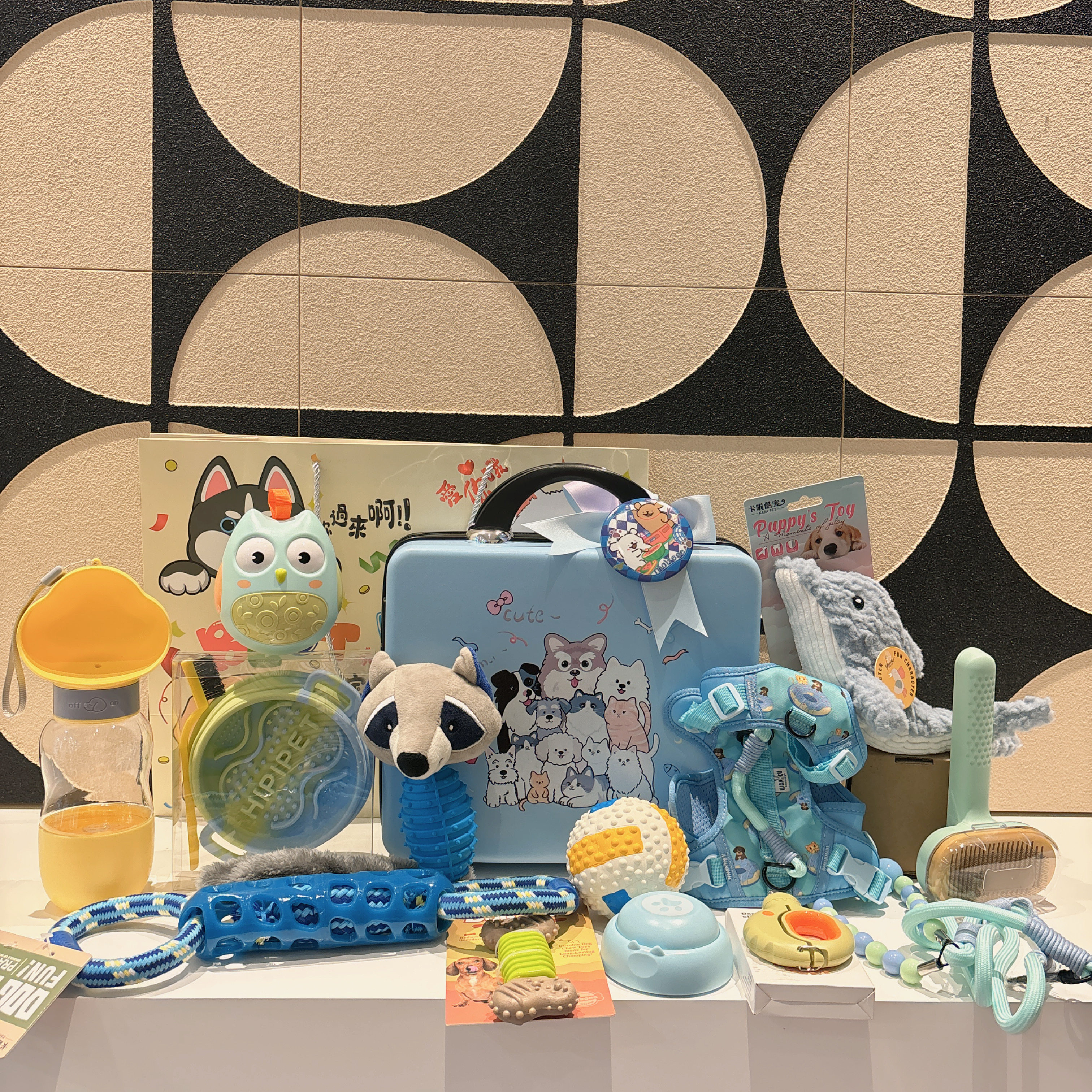 宠物生日伴手礼宠物周岁生日礼品宠物狗狗用品狗狗玩具狗狗十岁