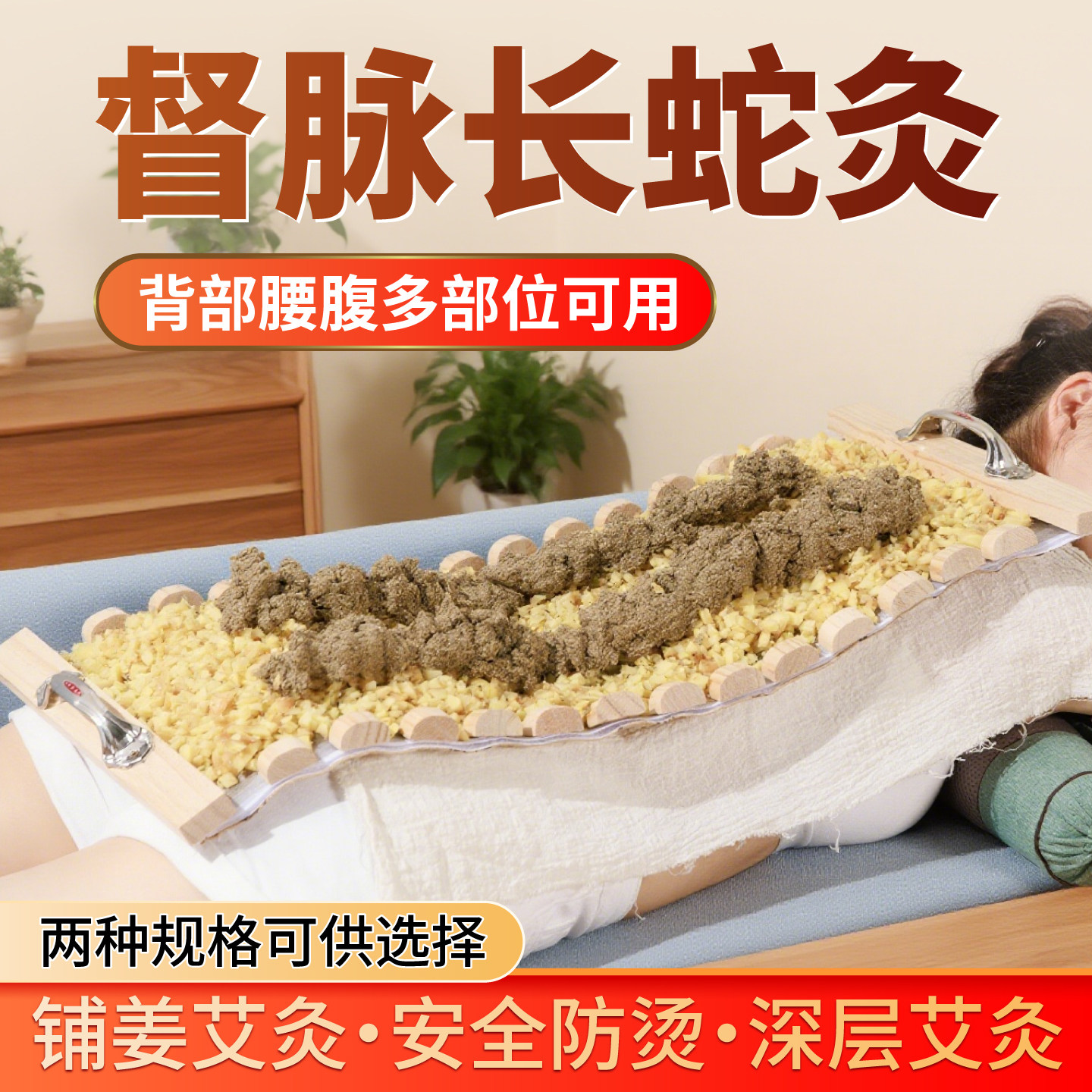 督脉长蛇隔姜灸艾灸背部器具工具