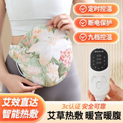 暖胃家用电热护腰带艾灸包