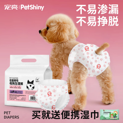 生理母狗宠亮好用不掉防骚扰