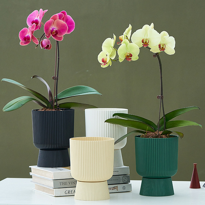 树脂北欧风高档蝴蝶兰花盆