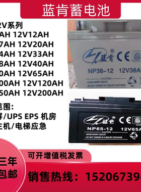 蓝肯蓄电池NP38-12 12V38AH17AH24AH65AH100AH直流屏消防UPS EPS