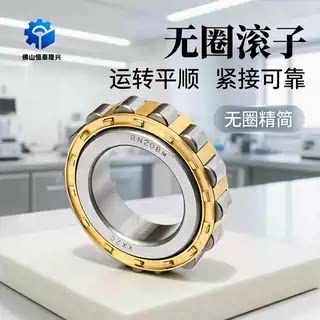 无外圈圆柱滚子轴承RN305M 306 307 308 309 310 311 312 313EM