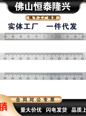 BLR51/52/55/56/61/62/65/66-L100 200 300 零下零中纵向刻度标尺