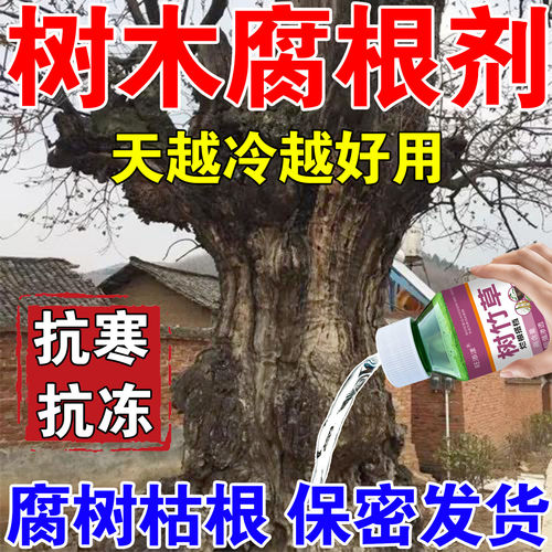 强力枯根腐大树根专用药构树灌木竹子枯专用死剂腐树根倒一浇通用