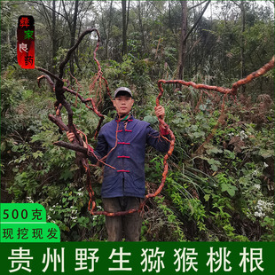 野生 猕猴桃根 雄洋桃根 藤梨根 中药材 新鲜 现挖 现发500g