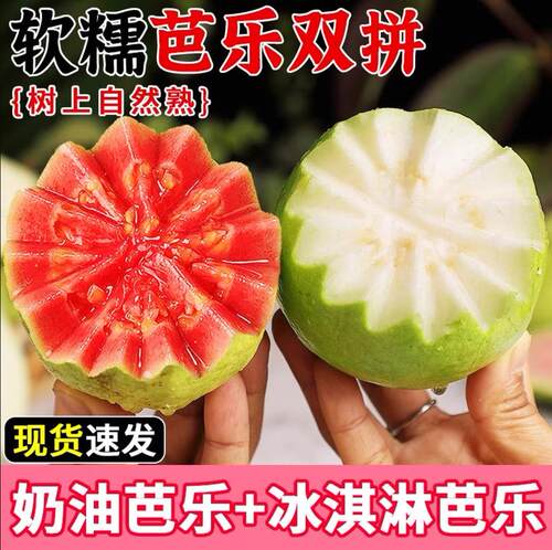 双拼红白心芭乐软糯香甜产地直发
