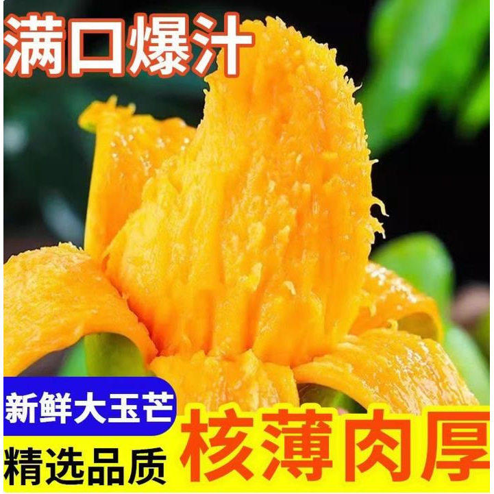 5斤越南大青芒青芒整箱包邮应季当季甜心芒果大青芒孕妇热带水果