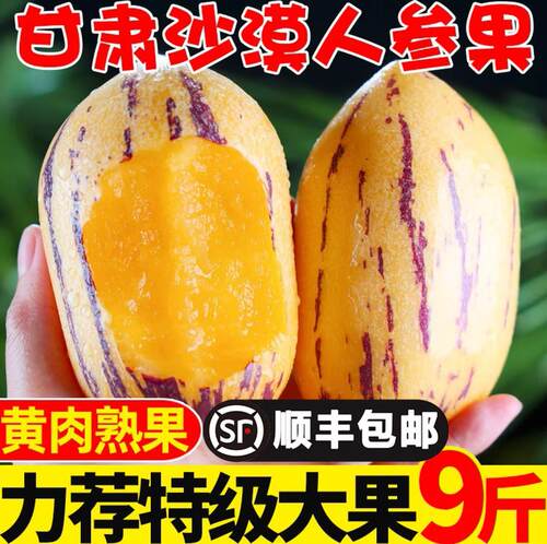顺丰甘肃民勤人参果9斤低糖当季
