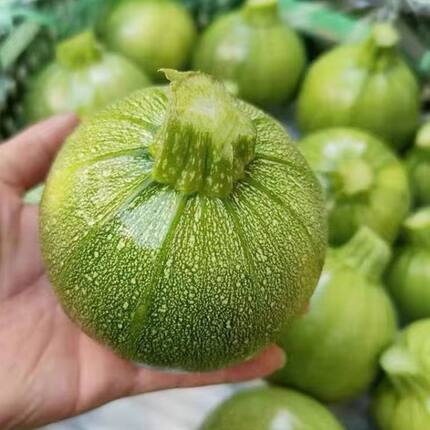 四川新鲜南瓜小圆瓜圆西葫芦绿皮青皮时令蔬菜包邮嫩南瓜当季