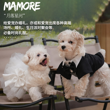 宠物狗狗猫咪西装西服婚纱衣服小狗婚礼礼服泰迪比熊雪纳瑞小型犬