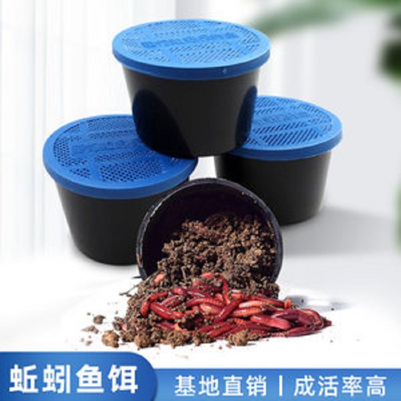 渔具店蚯蚓活饵鲜活散装盒装红蚯蚓1斤活体钓鱼鲫鱼饵料红虫鱼饵,户外/登山/野营/旅行用品,活饵/谷麦饵等饵料,淘宝优惠券,粉丝福利购,淘宝优惠卷