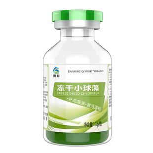 小球藻水产养殖专用鱼虾蟹塘肥水培藻绿水浓缩小球藻种卵囊藻绿藻
