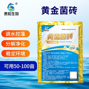 黄金菌砖水产养殖专用发酵菌砖复合em菌菌种乳酸菌菌种净水调水