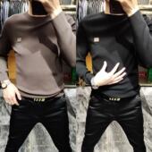 弹力羊毛衫 Y259欧货秋冬男士 男毛衣 男士 休闲商务打底衫 长袖 针织衫