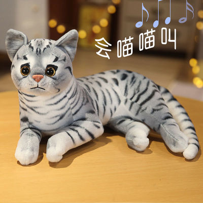 公猫交配玩具猫咪泻火玩具猫伴侣