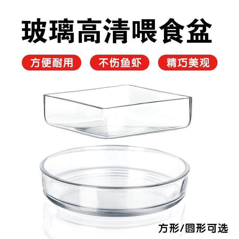 观赏虾喂食盆玻璃虾爬宠喂食盘