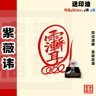 紫薇讳印 手绘版雨渐耳印 雨渐耳紫薇讳印 金刚咒印 光敏印章6：9