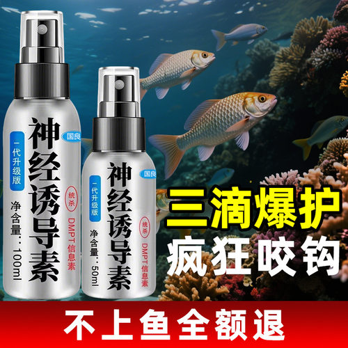 神经诱导素黑坑野钓钓鱼小药