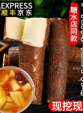 广西黄肉木薯新鲜10斤黄心蛋黄木薯羹现挖面包板栗木薯软糯番薯