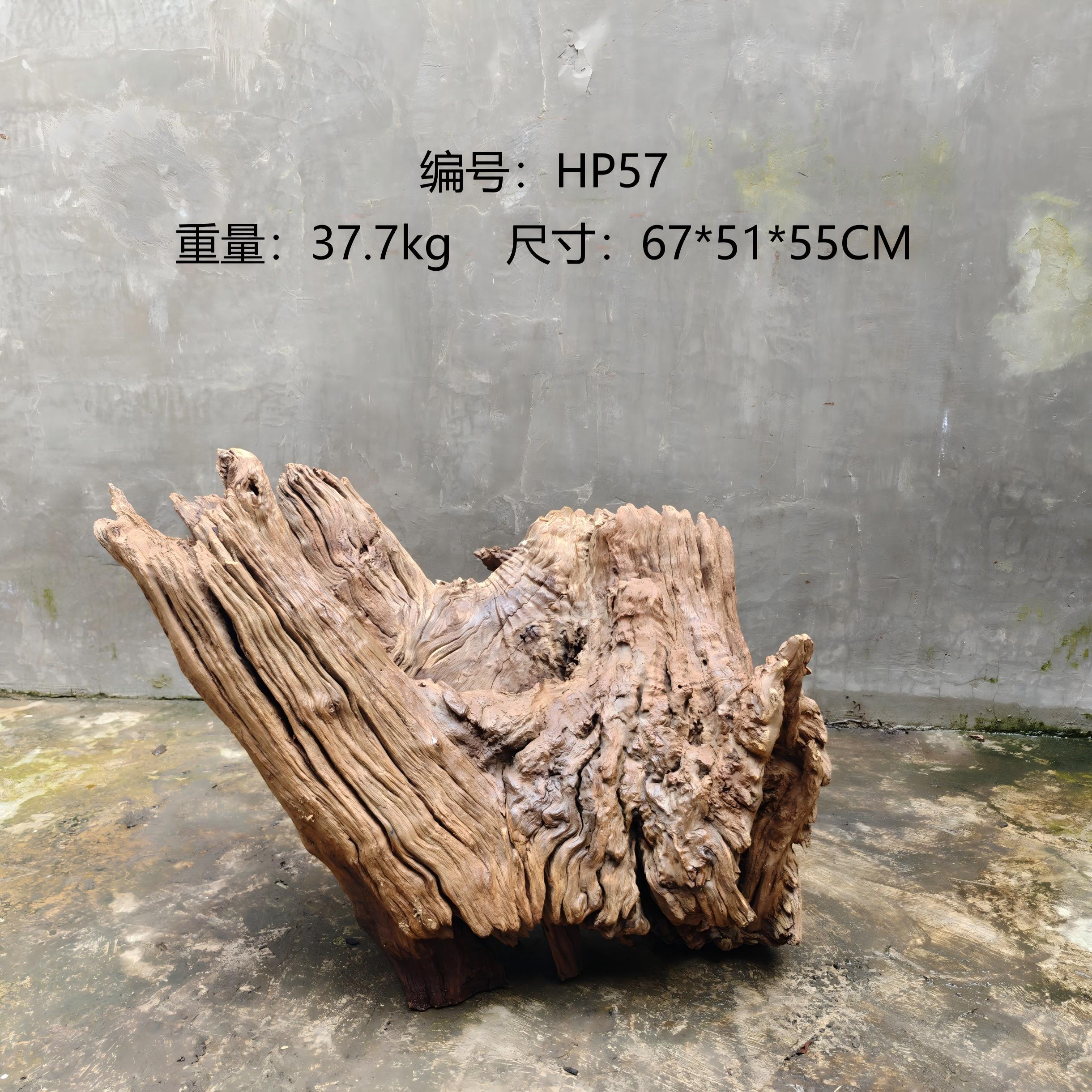 侘寂风树根枯木风化木老木头根艺