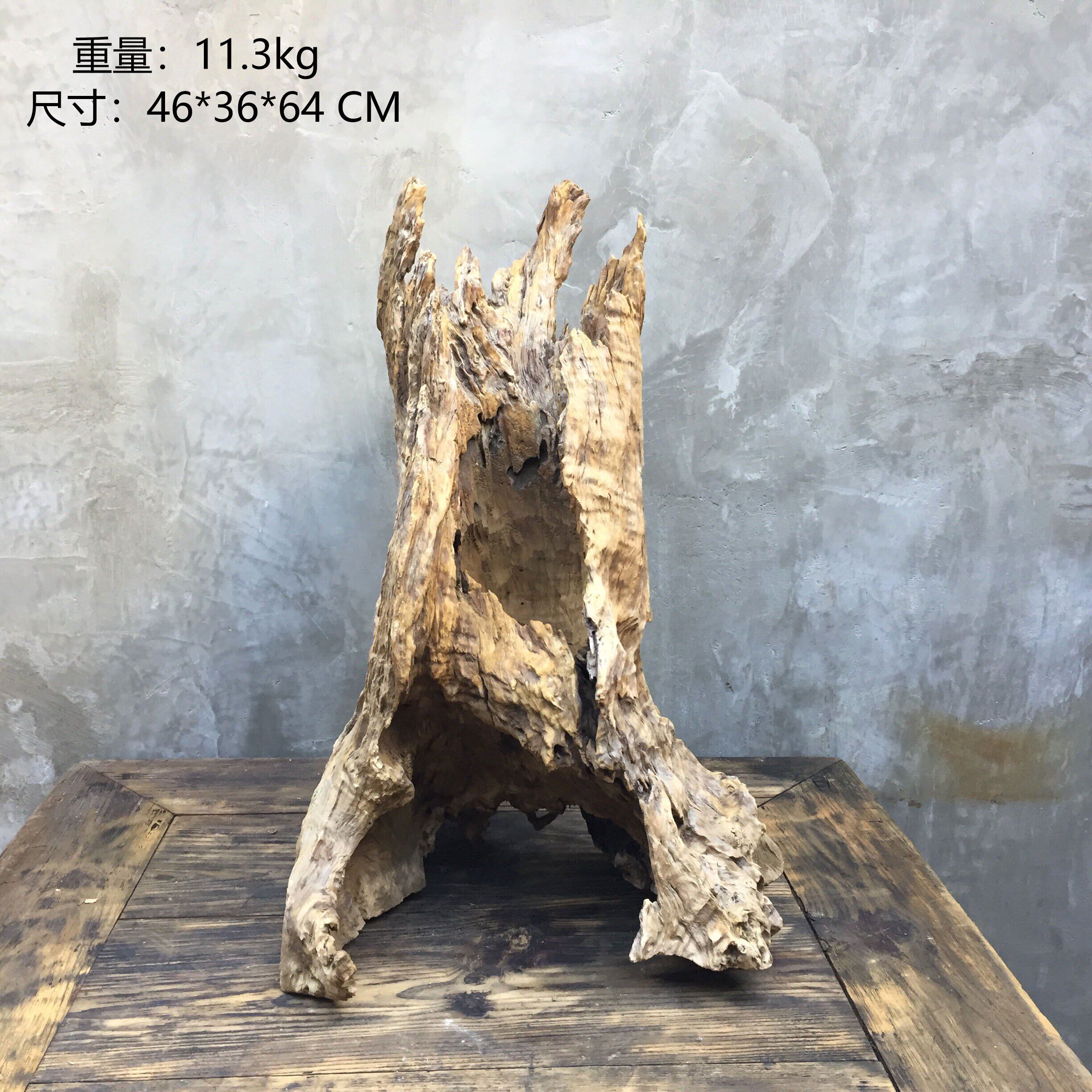 枯木逢春老树桩风化木树根根雕