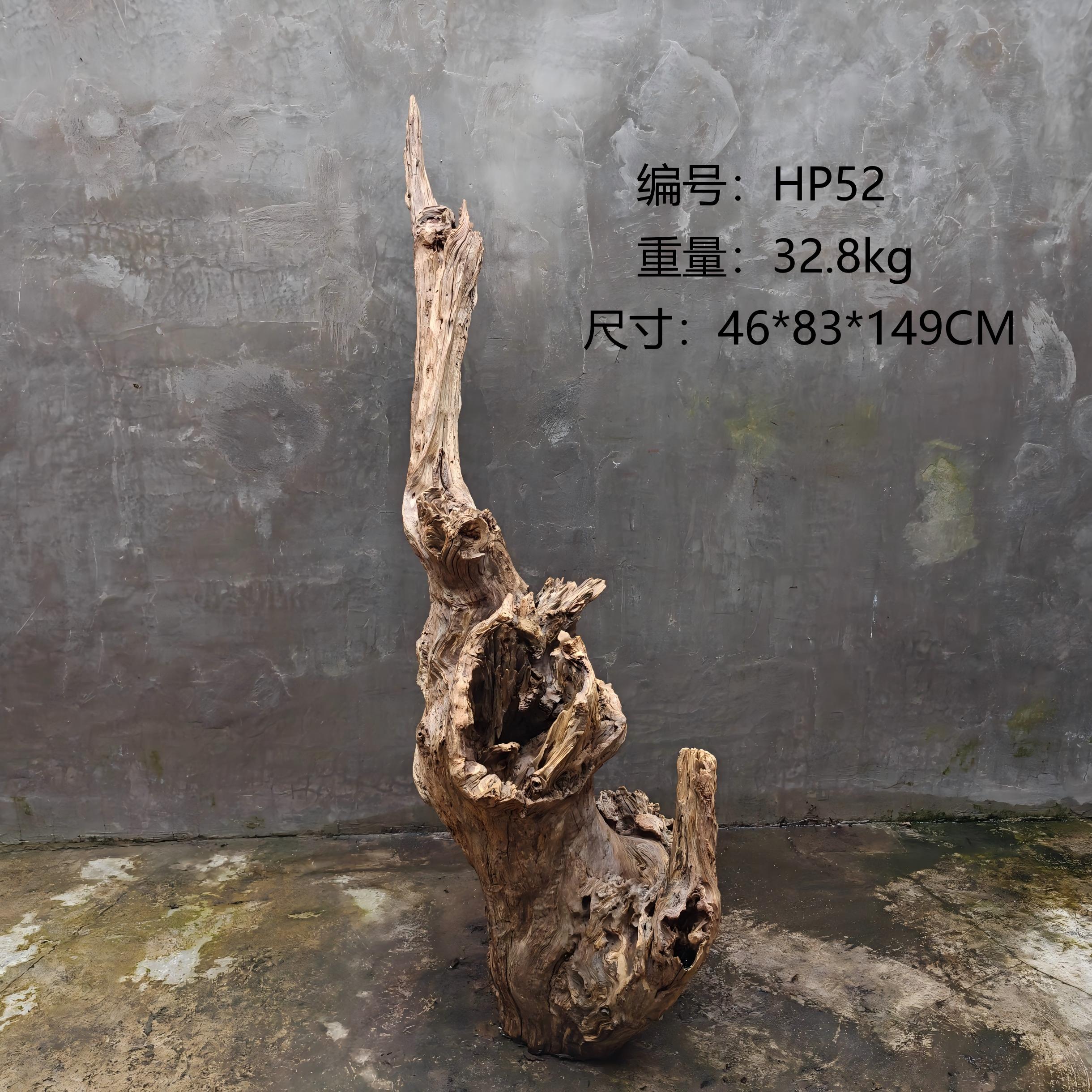 天然树根枯木风化木树桩根艺摆件