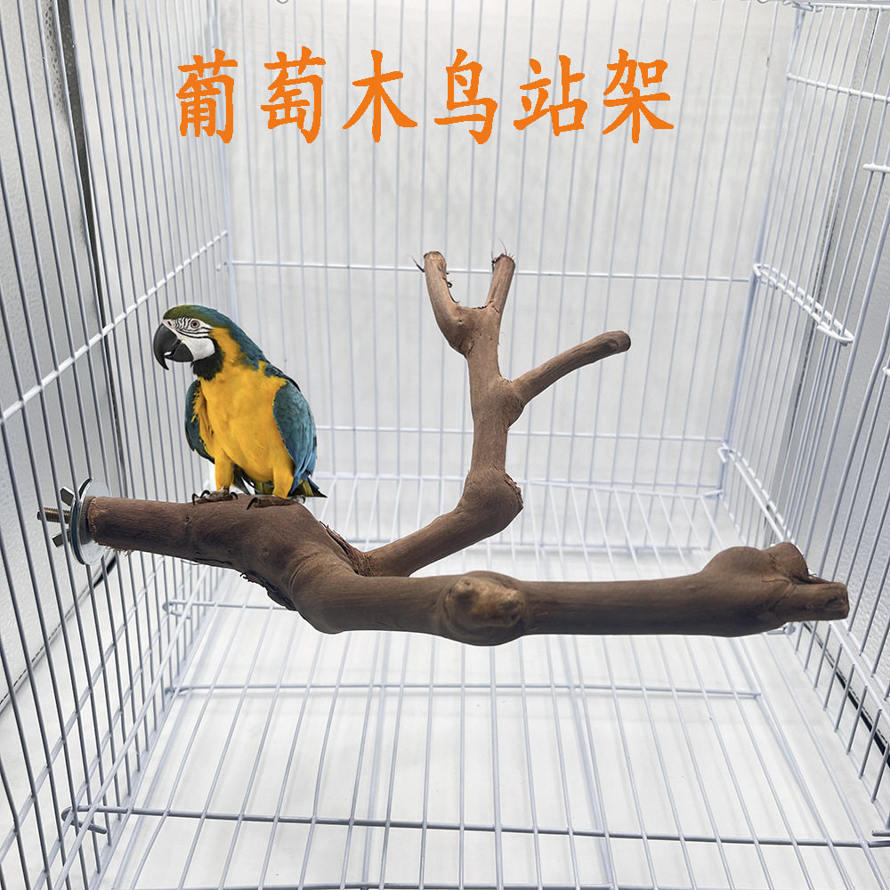 天然双杈鸟站架鹦鹉鸟类栖息磨爪鸟站杆带杈葡萄木站棍玩具