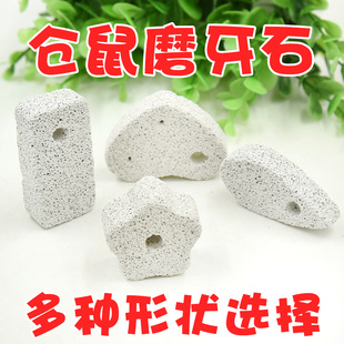 火山岩矿物牙石仓鼠兔子龙猫天竺鼠荷兰猪