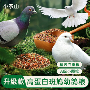 鸽子斑鸠食粮鸟粮饲料粮食鸟食小颗粒幼鸽粮高粱小麦高蛋白