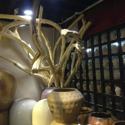 干树枝 山藤装饰树枝枯枝枯木干枝艺术道具挂件天然麻花藤 白树枝