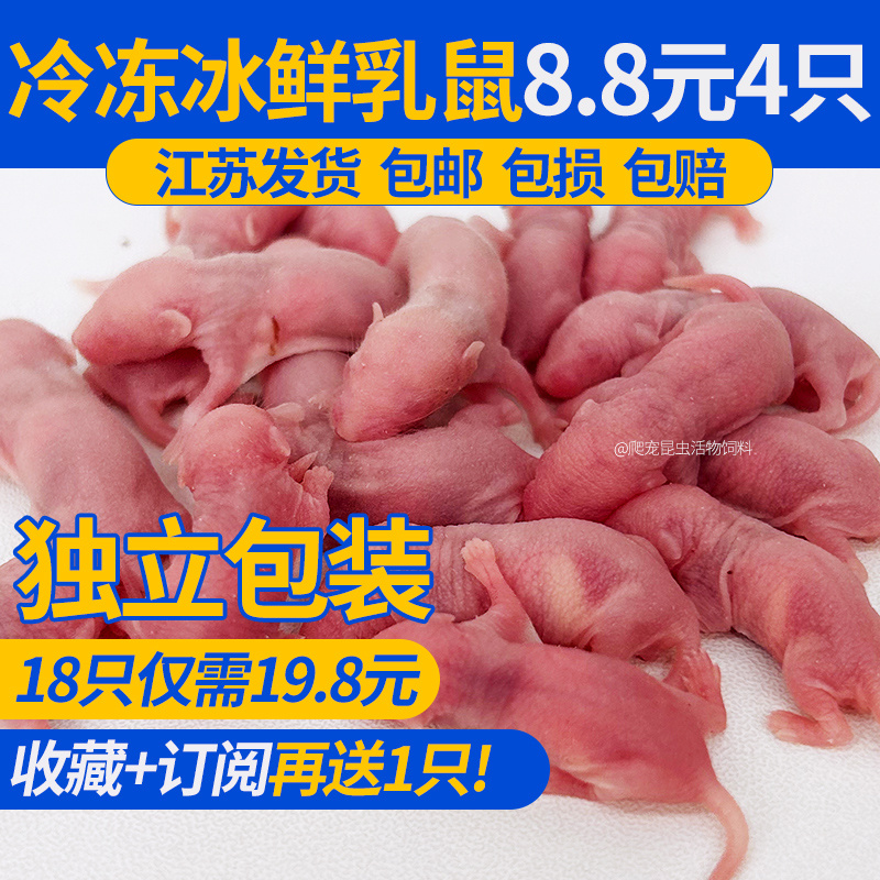 冷冻冰鲜乳鼠小白鼠宠物蛇无菌爬虫饲料