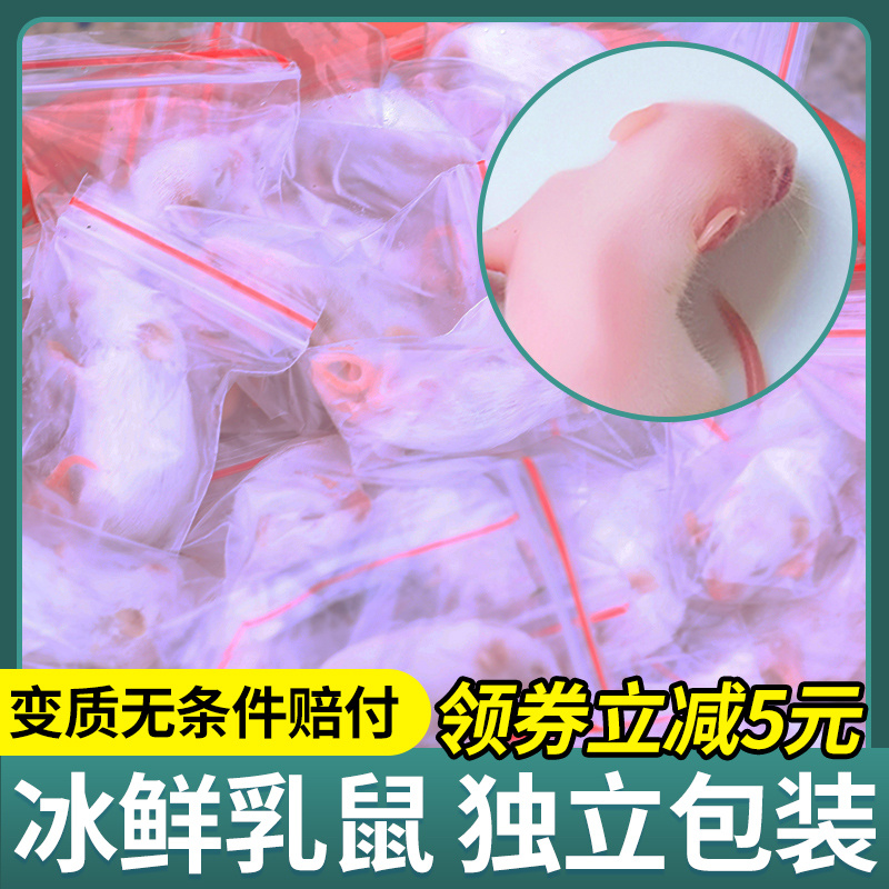 冰冻红皮乳鼠独立包装粉皮白霜爬宠饲料宠物喂猫零食大小白鼠宿舍