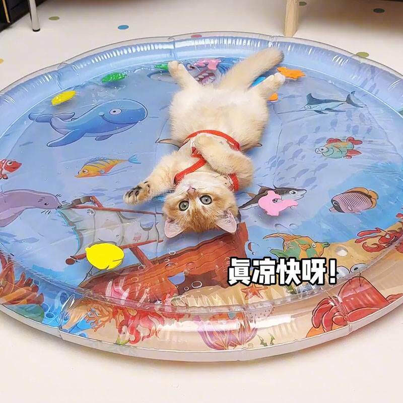 狗狗猫咪拍拍水垫宠物水床海洋生物圈注水冰垫凉加厚充气大号夏季