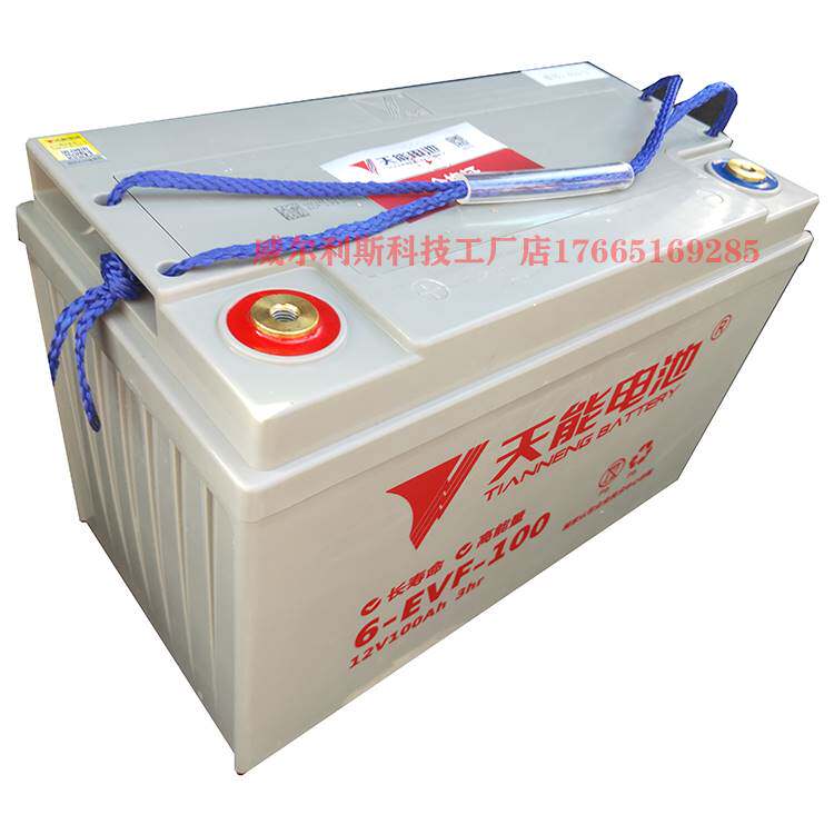 天能电瓶12V100A 丽驰 比德文 洗地机电动四轮电池6-evf-103H-107