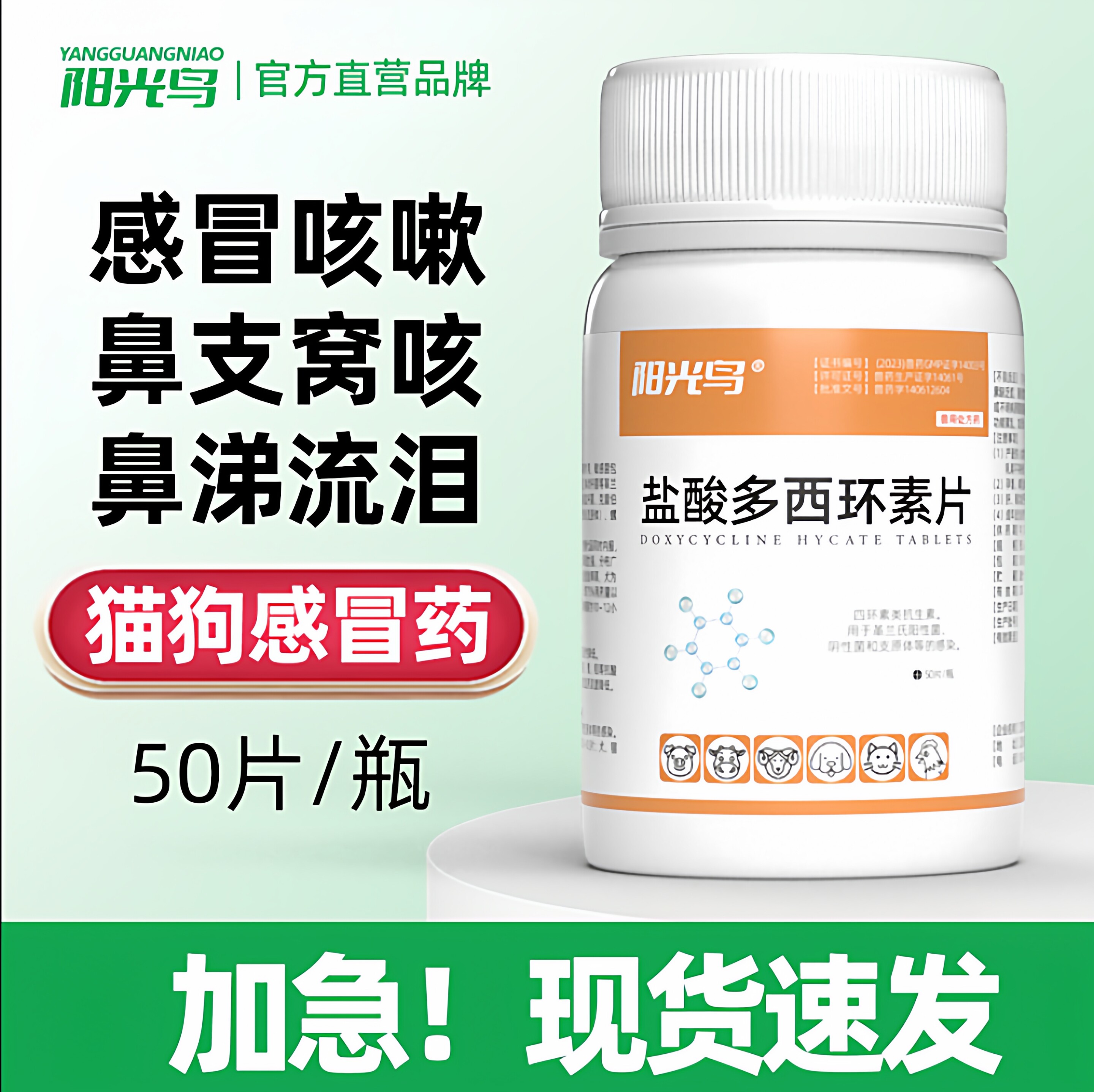宠物猫咪小狗咳嗽感冒猫狗鼻支猫口炎感染发炎阿莫西林多西环素药