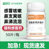 宠物猫咪小狗咳嗽感冒猫狗鼻支猫口炎感染发炎阿莫西林多西环素药