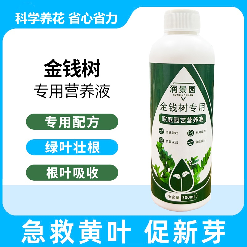 润景园金钱树专用家庭园艺浓缩营养液绿叶壮根防黄免稀释发财树,鲜花速递/花卉仿真/绿植园艺,家庭园艺肥料,淘宝优惠券,粉丝福利购,淘宝优惠卷